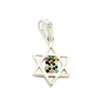 Gold Filled Rhodium Mini Twelve Tribes Star of David Pendant